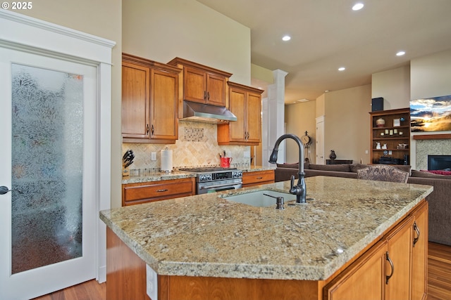 kitchen with tasteful backsplash, wood finished floors, high end stainless steel range oven, under cabinet range hood, and a sink