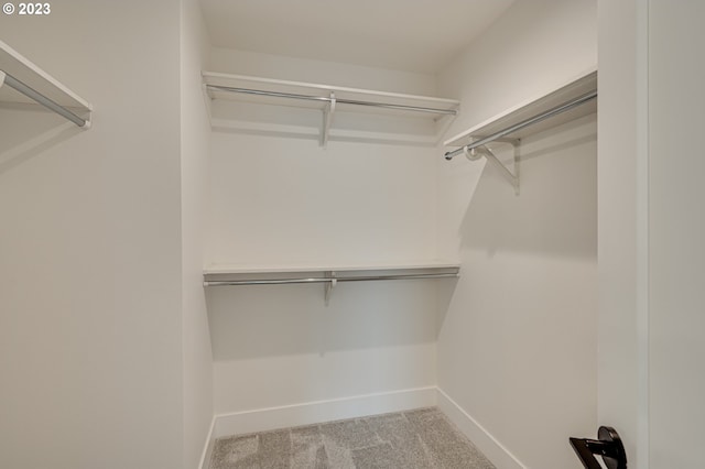 walk in closet with light carpet