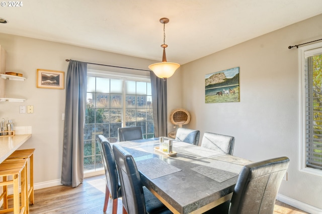 dining space with a wealth of natural light and light hardwood / wood-style flooring