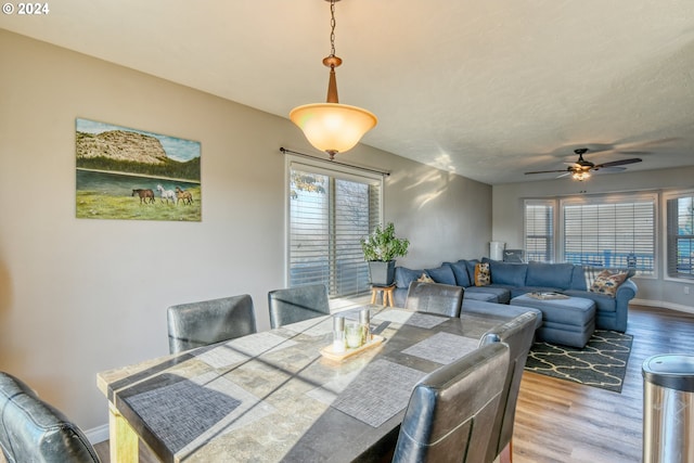 dining room with hardwood / wood-style floors and ceiling fan