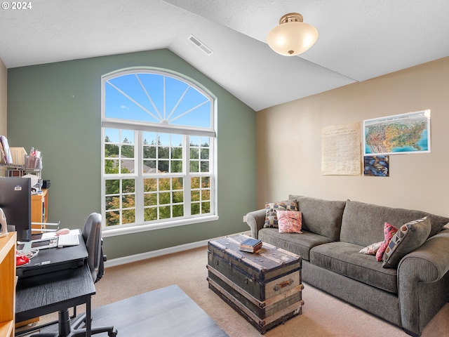 interior space featuring a textured ceiling, carpet flooring, and vaulted ceiling