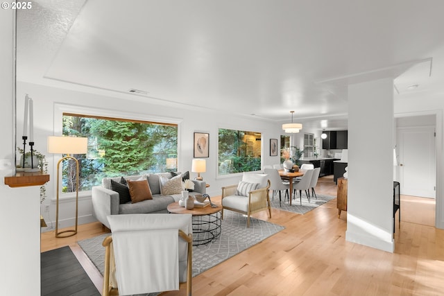 living room with light hardwood / wood-style flooring