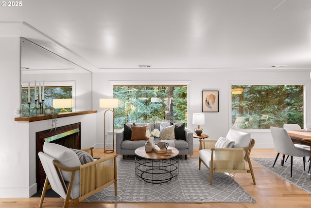 living room with light hardwood / wood-style flooring and plenty of natural light