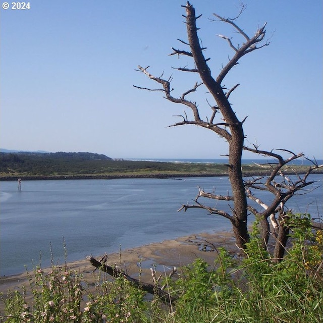 view of water view