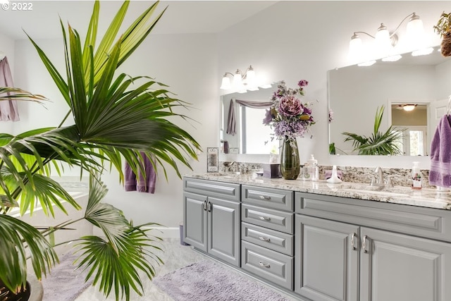 bathroom featuring dual bowl vanity