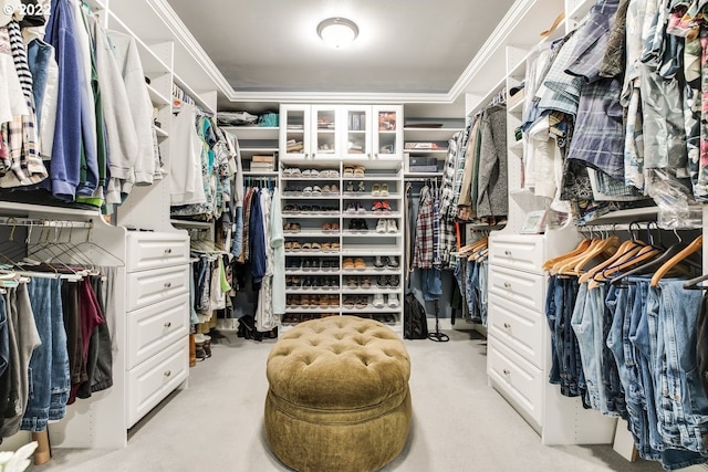 walk in closet with light colored carpet