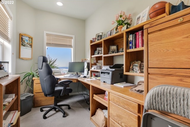 carpeted home office featuring plenty of natural light