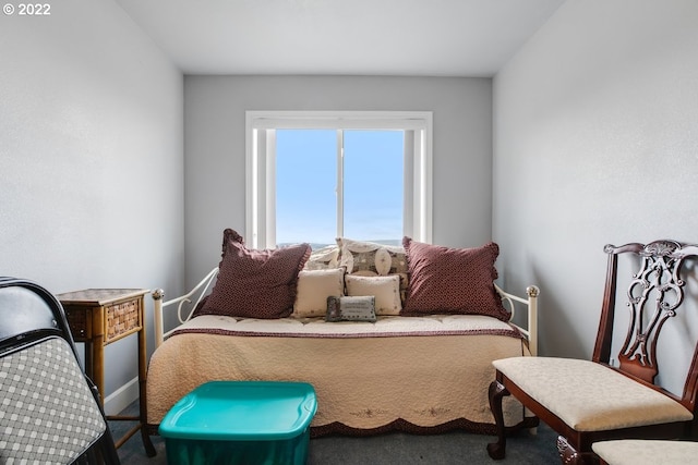 bedroom featuring carpet