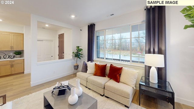 living room featuring light hardwood / wood-style floors