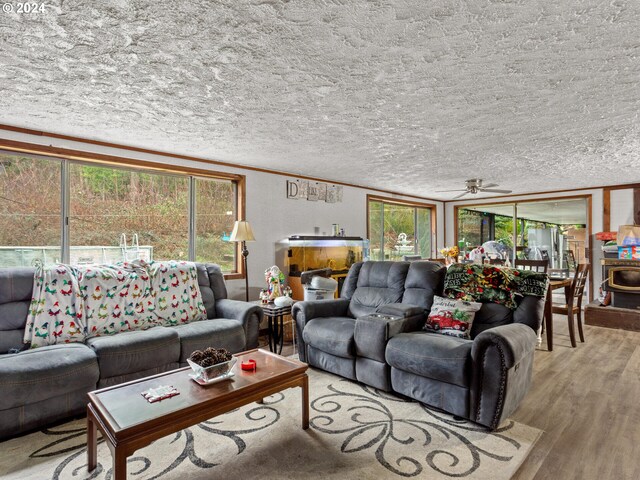 living room featuring ornamental molding, plenty of natural light, a textured ceiling, and light hardwood / wood-style floors