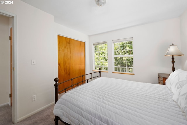 bedroom with a closet and carpet