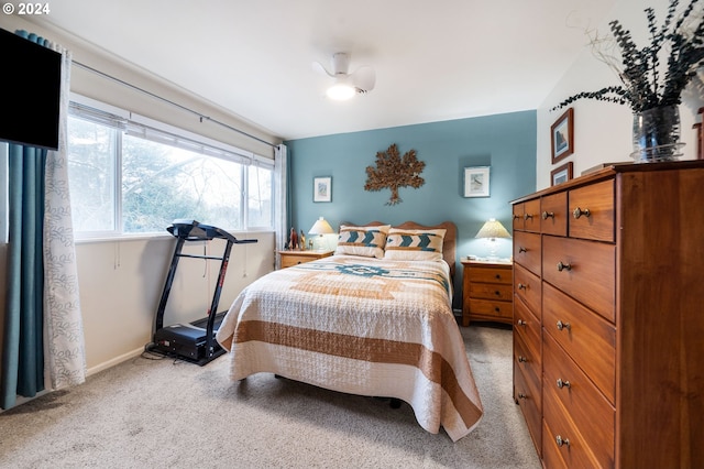 bedroom with light carpet