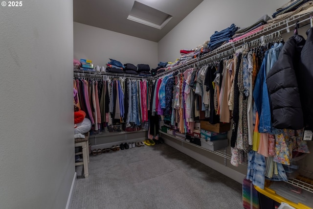 walk in closet featuring carpet