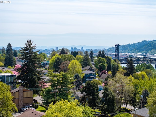 birds eye view of property featuring a mountain view