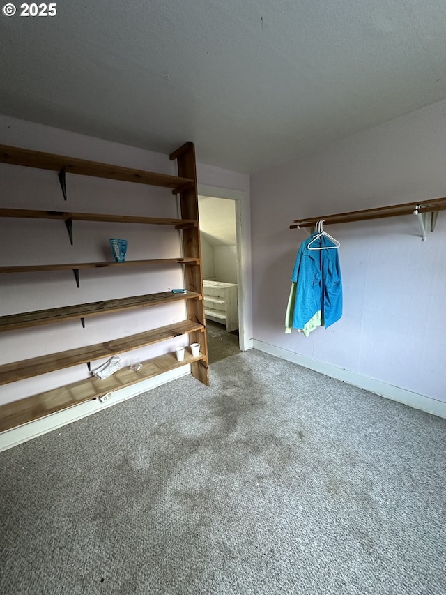 unfurnished bedroom featuring carpet floors