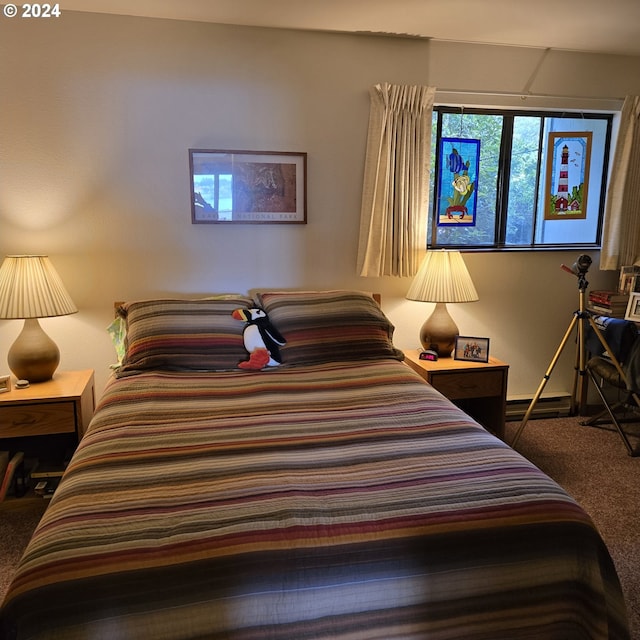 bedroom featuring a baseboard radiator and carpet flooring