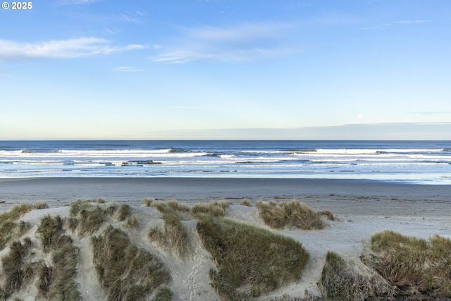 water view featuring a beach view