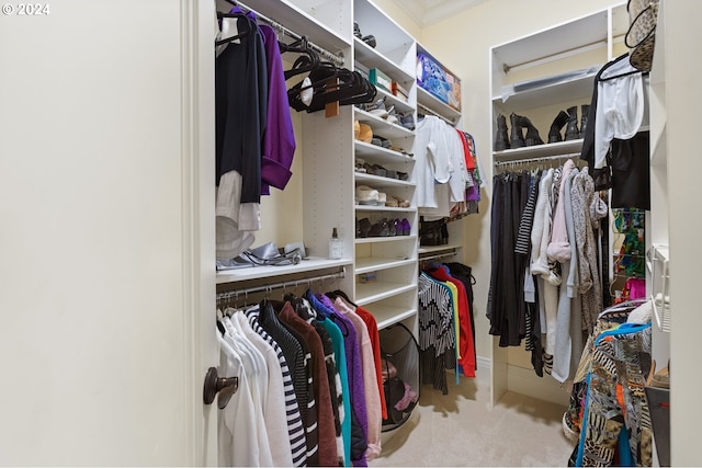 walk in closet with light colored carpet