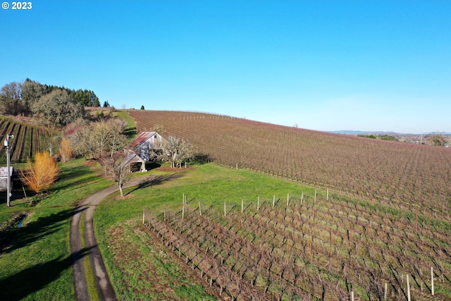 view of yard featuring a rural view