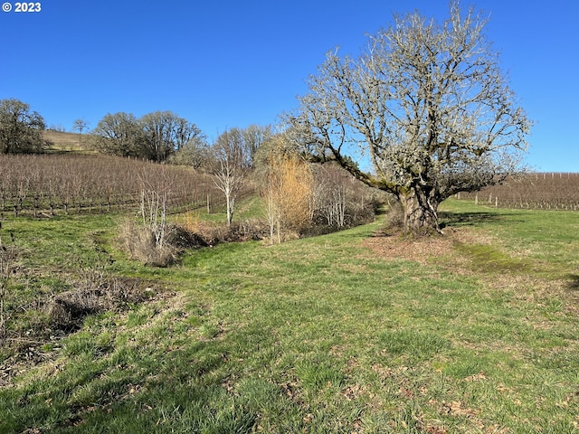 view of yard with a rural view