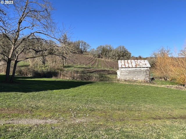 view of yard with a rural view