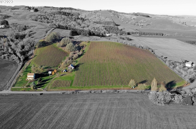 drone / aerial view with a rural view