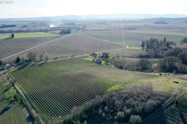 aerial view featuring a mountain view and a rural view