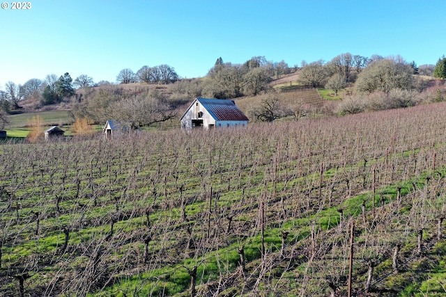 view of yard with a rural view and an outdoor structure