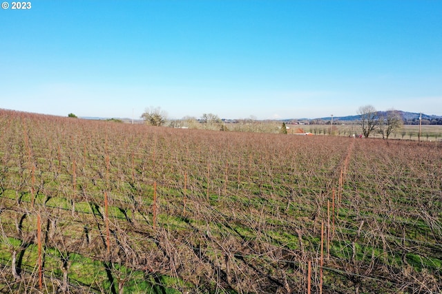 view of yard featuring a rural view