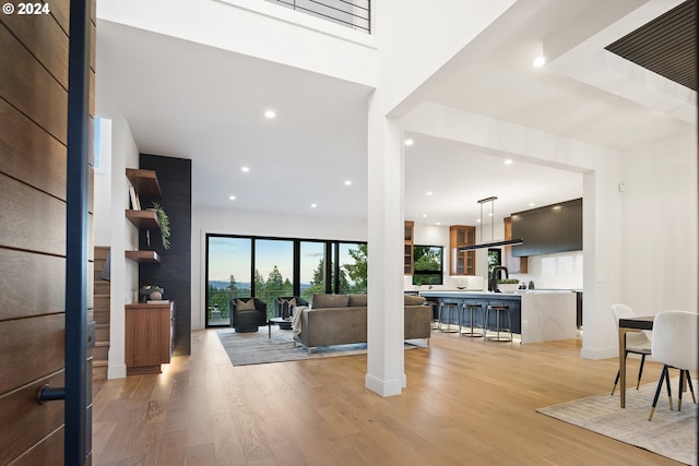 living room with sink and light hardwood / wood-style floors