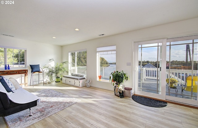 interior space with light hardwood / wood-style floors and a wealth of natural light