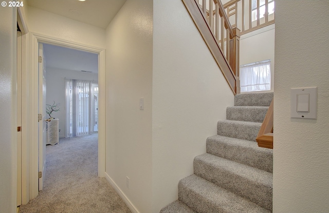 stairs featuring carpet