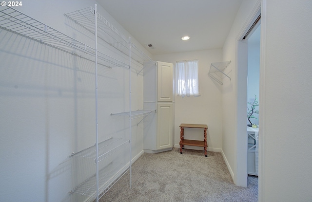 walk in closet with light carpet