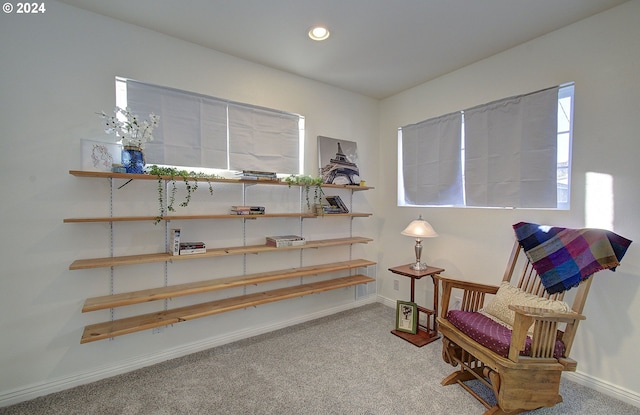 sitting room featuring carpet flooring