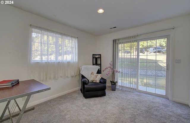 living area featuring light colored carpet