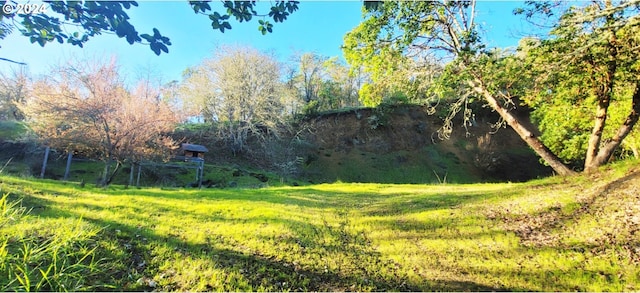 Listing photo 3 for 1938 NE Tahoe Ave, Roseburg OR 97470