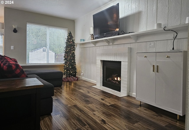 living room with dark hardwood / wood-style floors and a fireplace