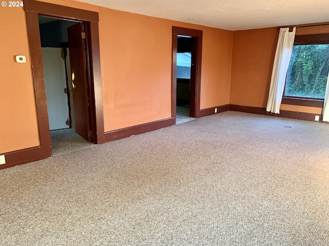 spare room with carpet floors