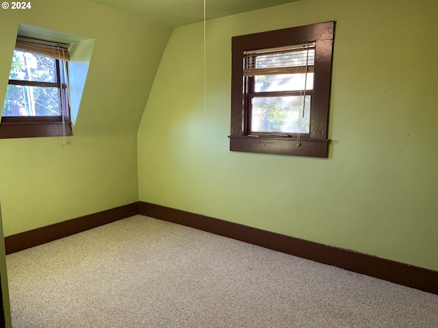 additional living space with carpet floors and lofted ceiling