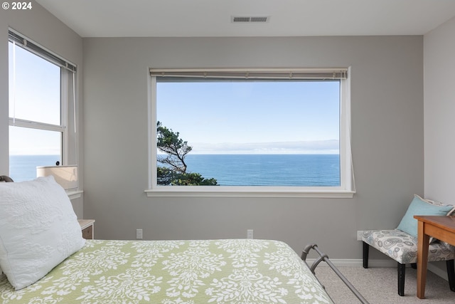 carpeted bedroom featuring a water view