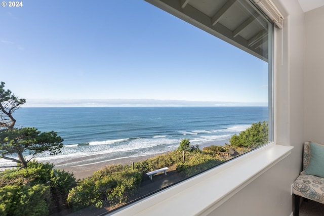 water view featuring a beach view