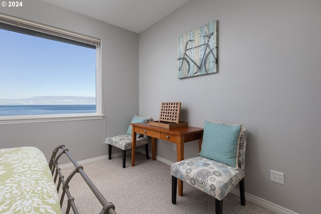 carpeted bedroom featuring a water view