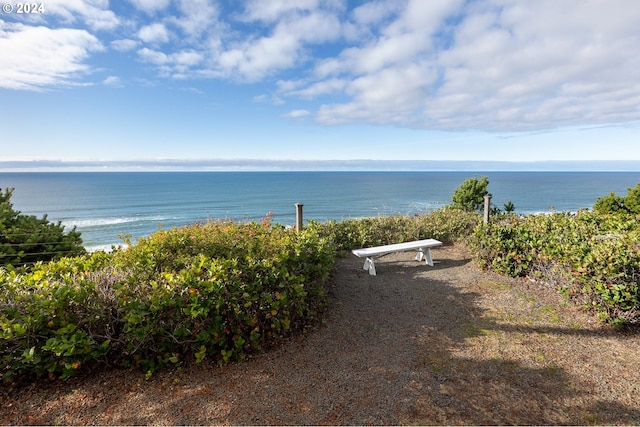 property view of water