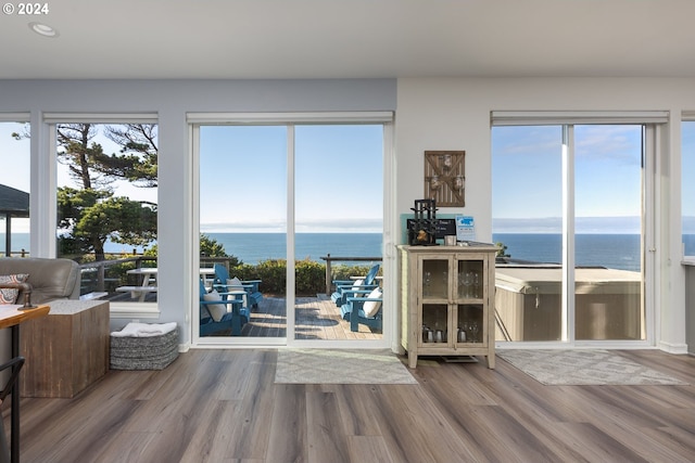 entryway featuring wood-type flooring and a water view