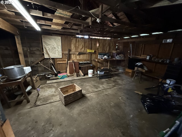 garage featuring wood walls