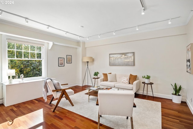 living room featuring ornamental molding, rail lighting, and dark hardwood / wood-style flooring