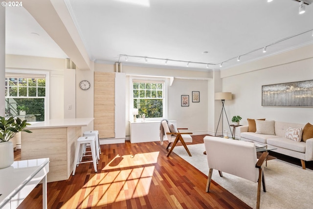 living room with a healthy amount of sunlight, hardwood / wood-style floors, and rail lighting