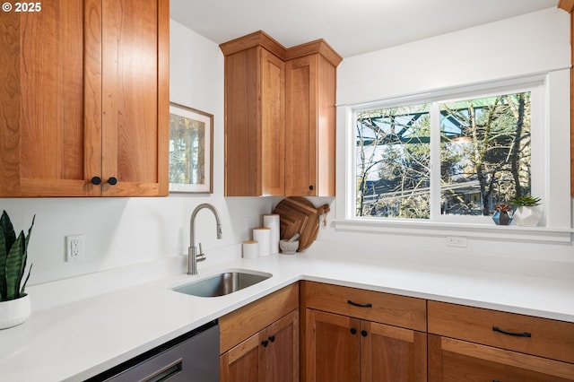 kitchen with dishwasher and sink