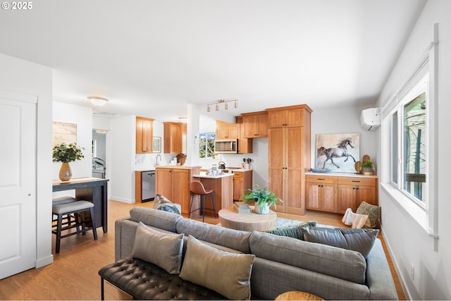 living room with light hardwood / wood-style floors, sink, and a wall mounted AC