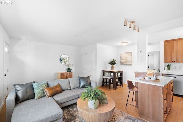 living room with light hardwood / wood-style flooring